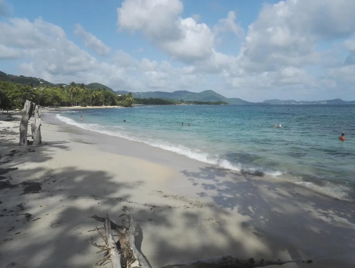 Studio - Le Ti-Colibri - Plages Et Piscine A Sainte-Luce - Martinique - Antilles